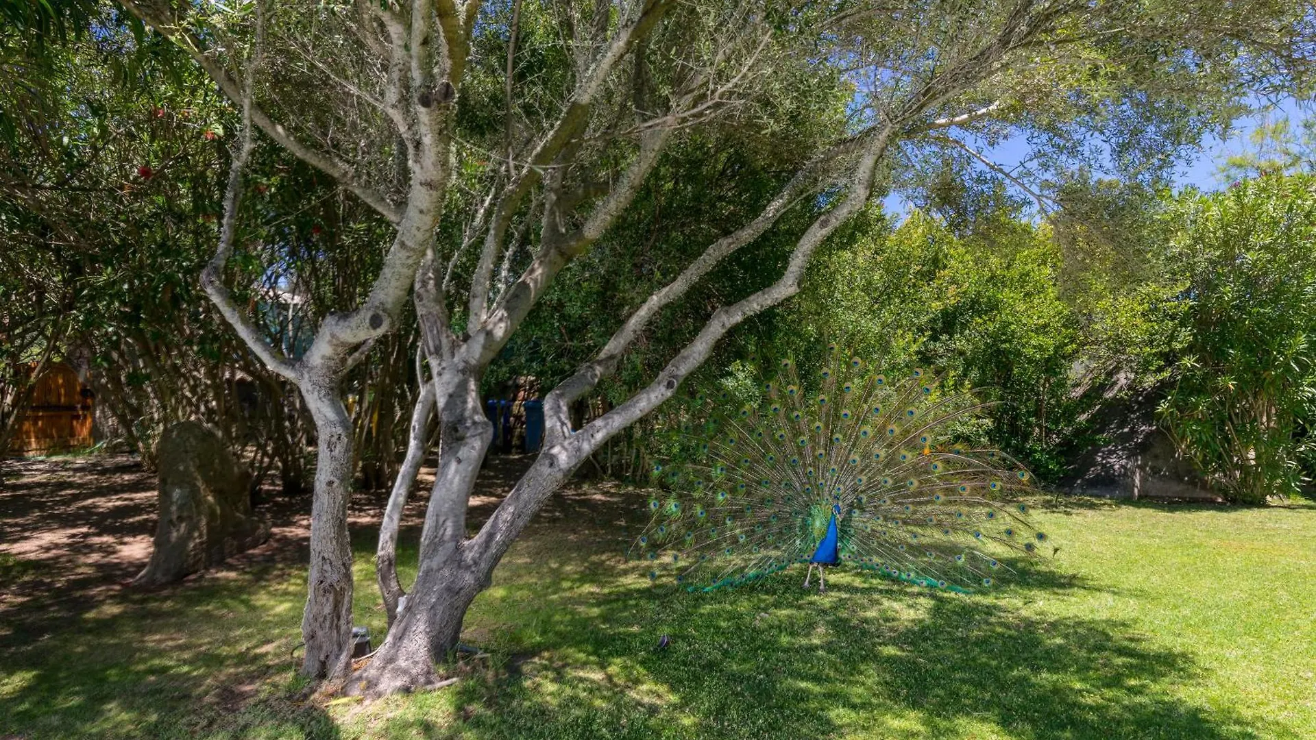 Villa Nuraghe Porto Rotondo