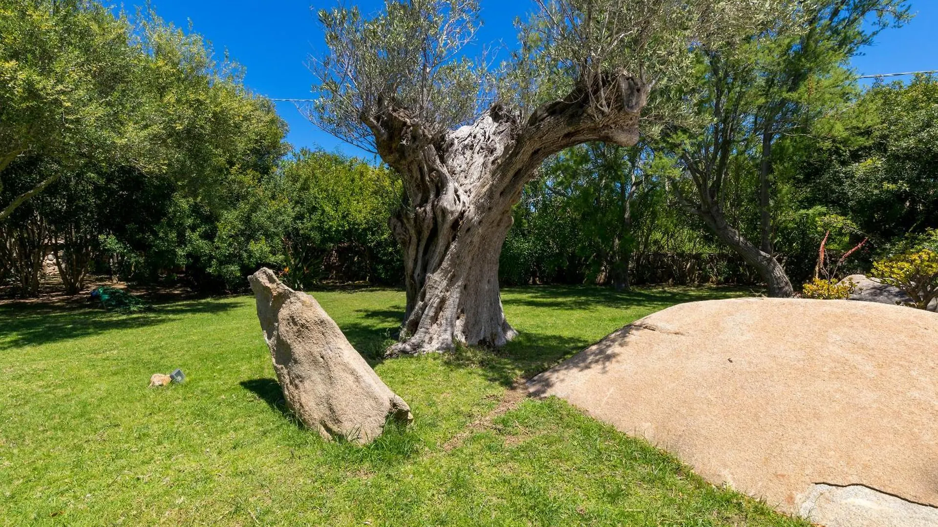 Villa Nuraghe Porto Rotondo 0*,  Italia