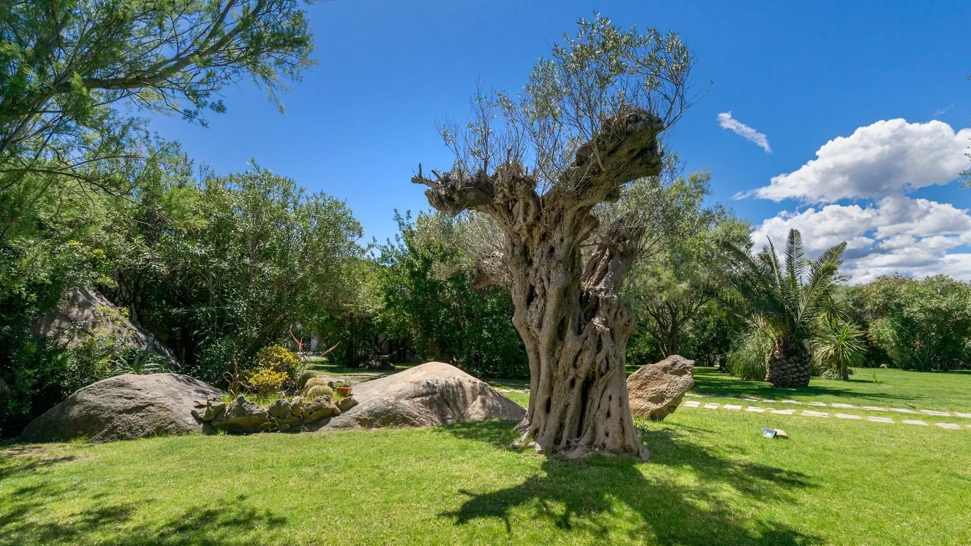 Villa Nuraghe Porto Rotondo